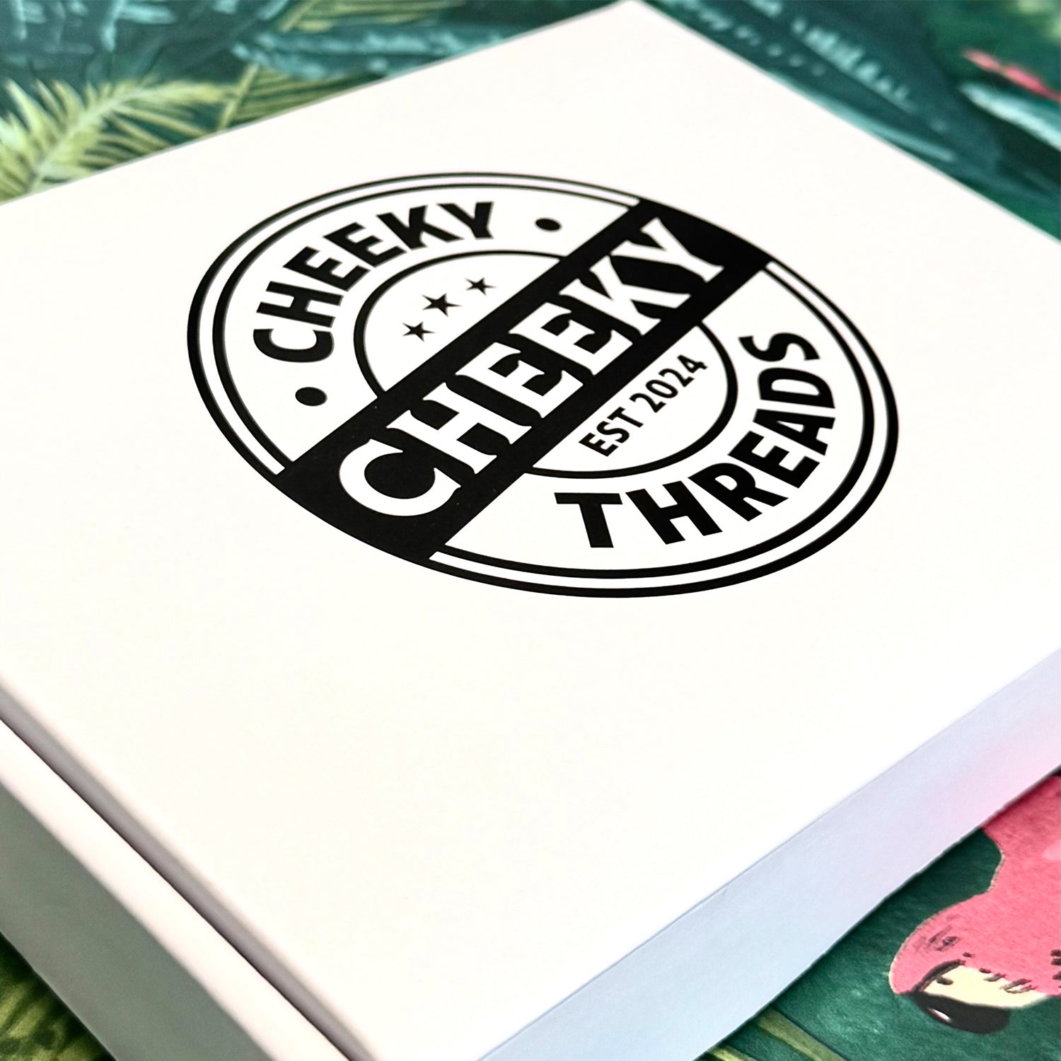 Everyday Collection WHITE (Cheeky SOX BOX of 6)